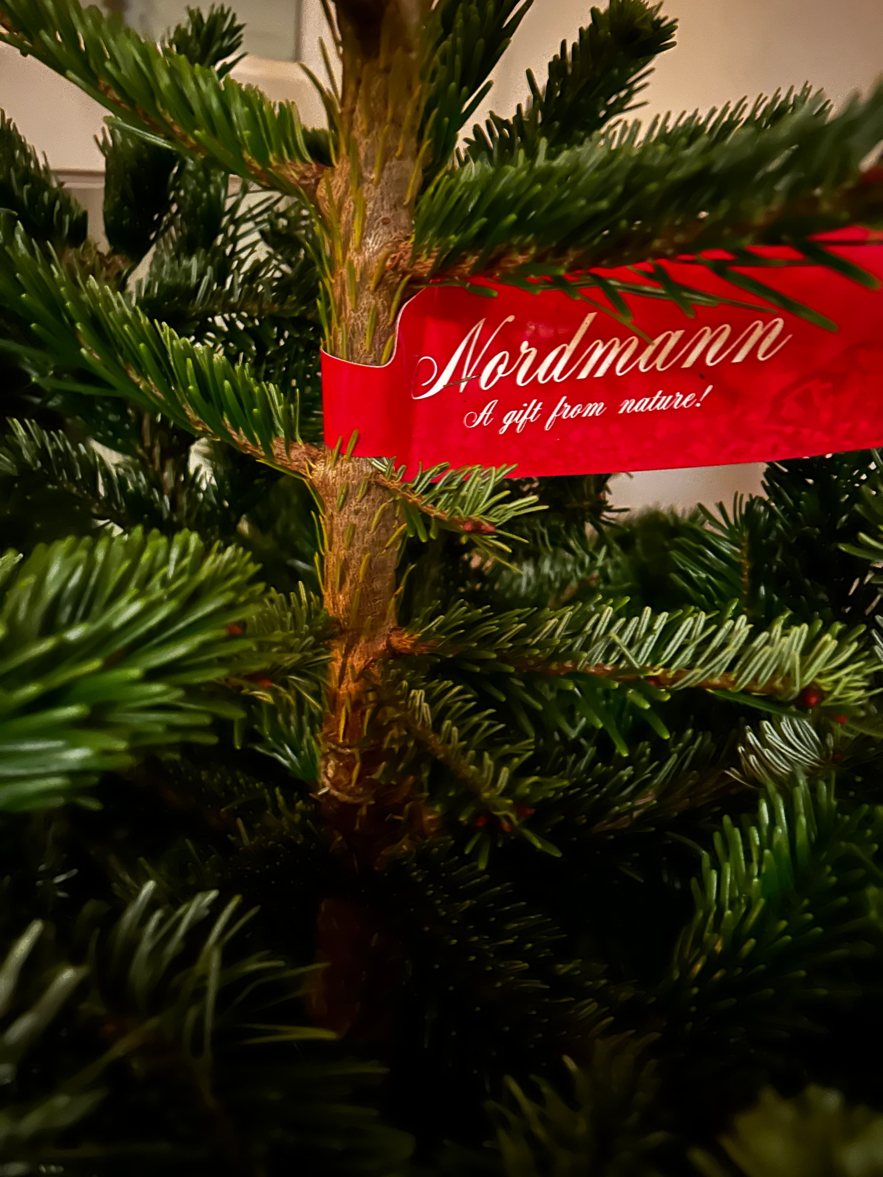 Bomen klaar voor levering